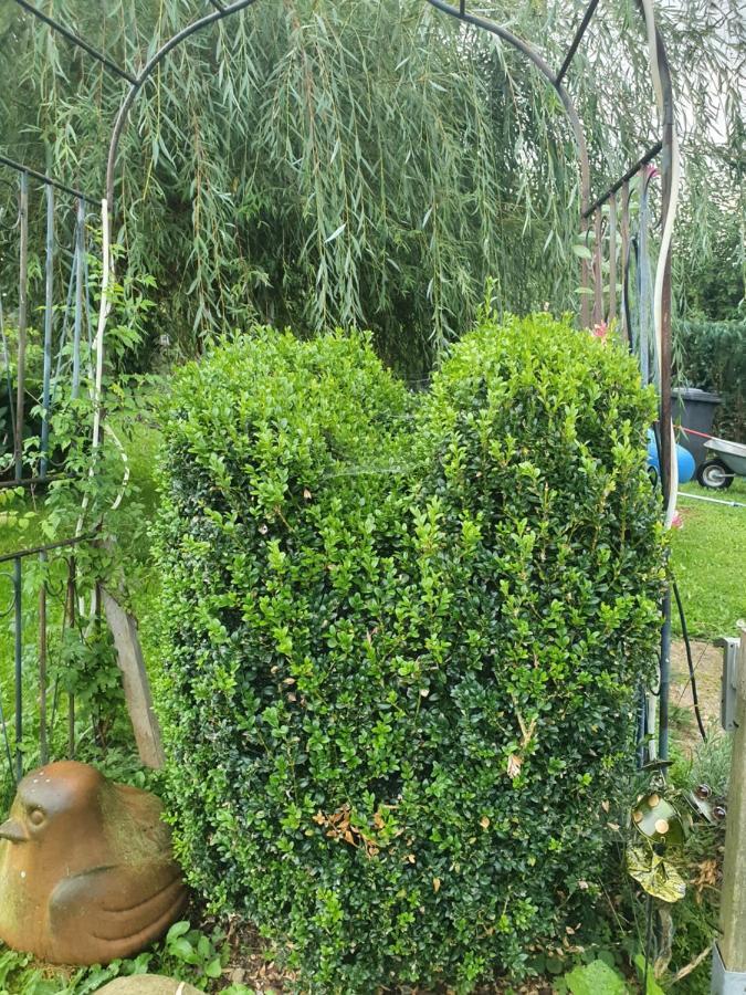 Ferienwohnung Forsthaus Bad Grönenbach Dış mekan fotoğraf